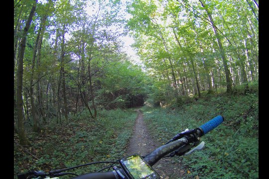 TomTom Bandit Vergleichsfoto, Schatten und Sonneinstrahlung im Wald beim Biken